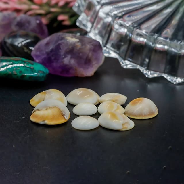 Gomati Chakra – Small