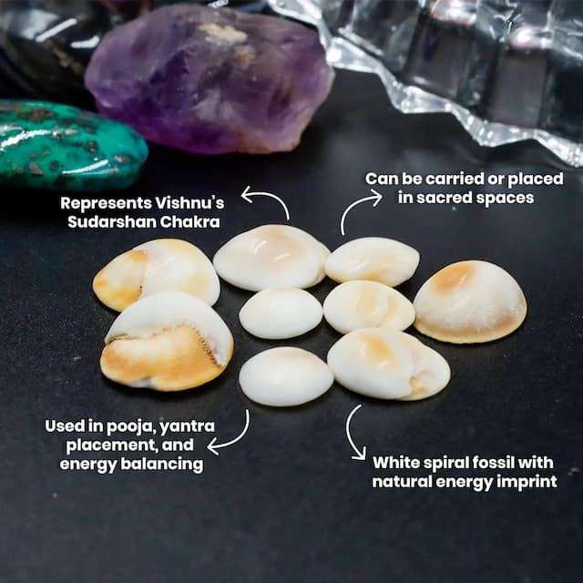 Gomati Chakra – Small - hover