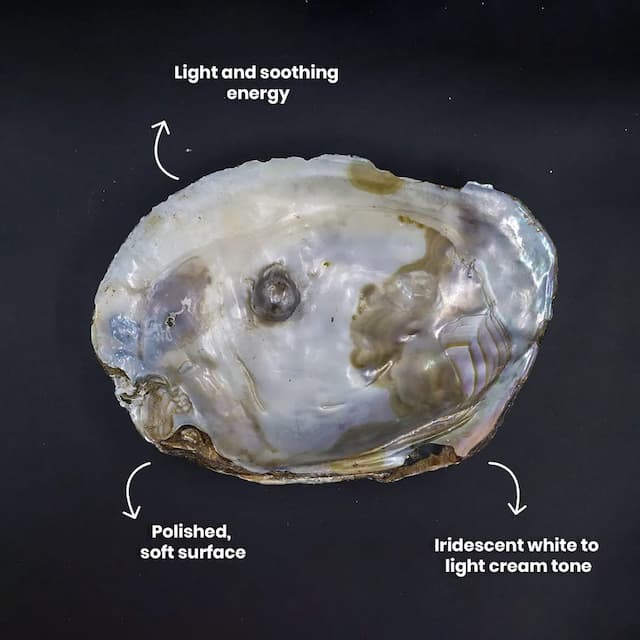 Pearl Shell Stone - hover
