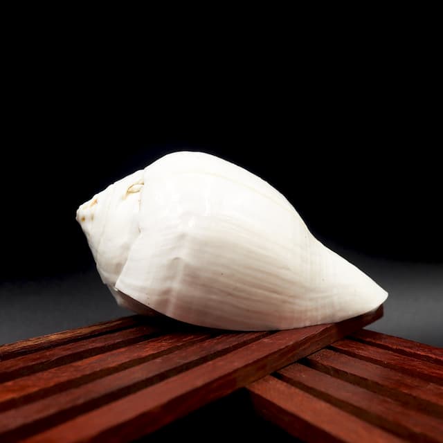 Vazhampuri Sangu - hover