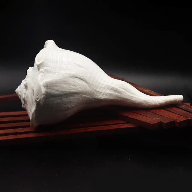 Vazhampuri Sangu – Medium (M) - hover