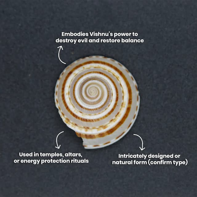 Vishnu Chakra - hover