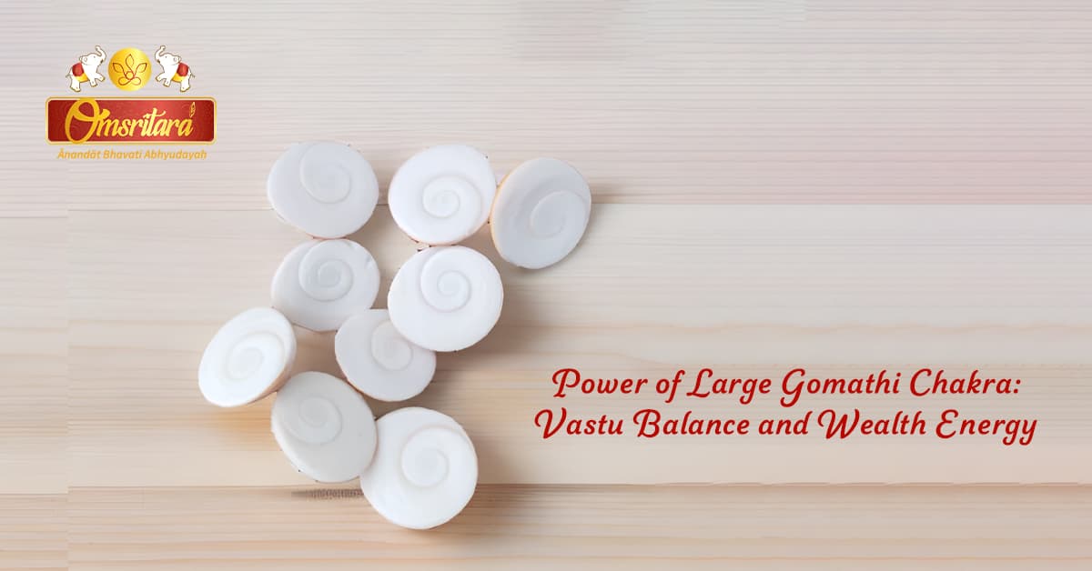 Power of Large Gomathi Chakra: Vastu Balance and Wealth Energy